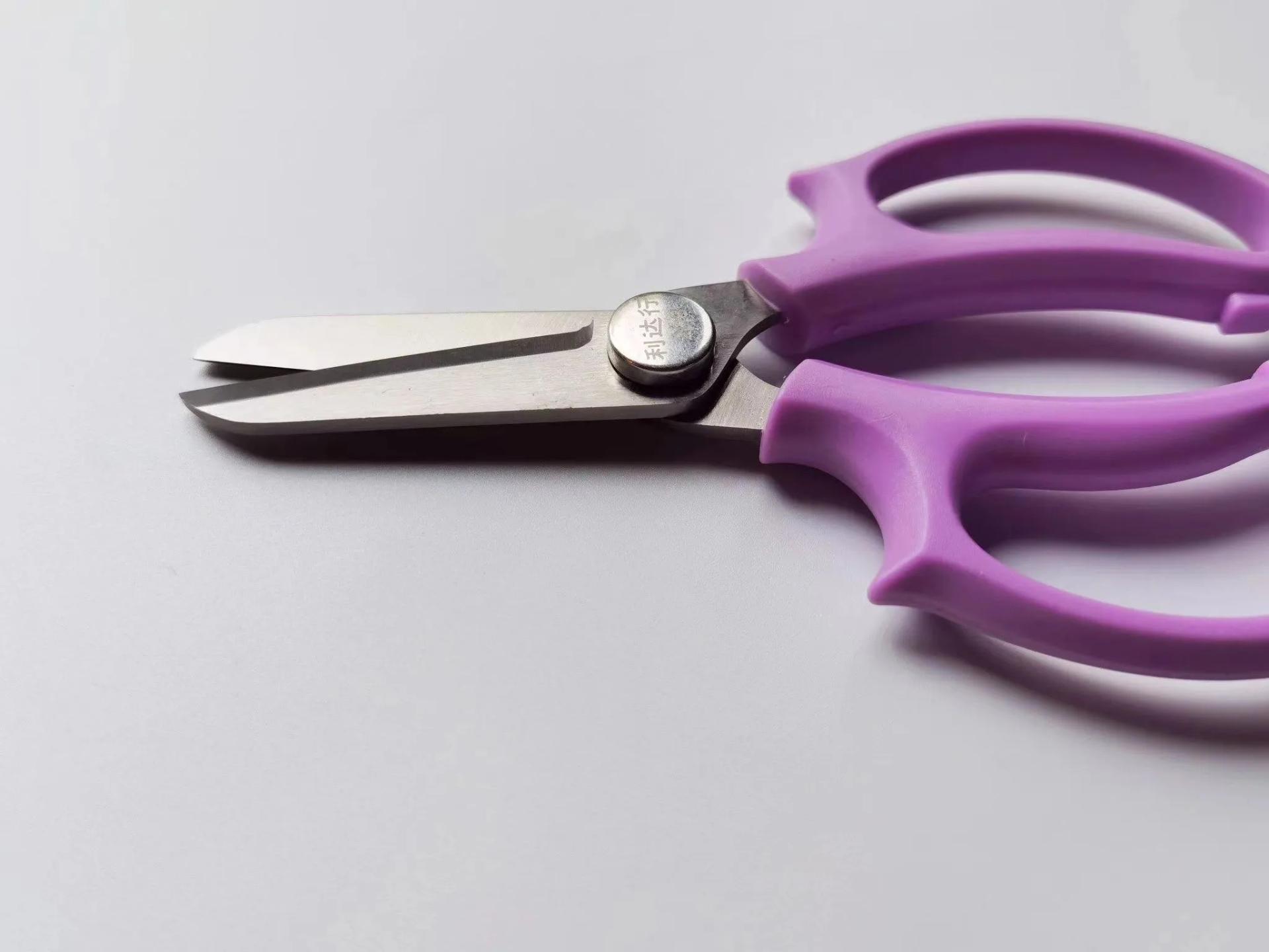 CTY TNHH SHUN FENG VINA